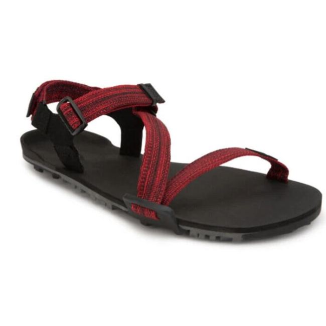 XERO SANDALS Z-TRAIL EV - MEN-RED